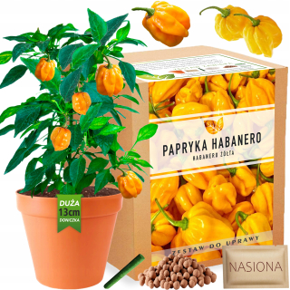Žltá súprava na pestovanie chilli papričiek Habanero Yellow XXL
